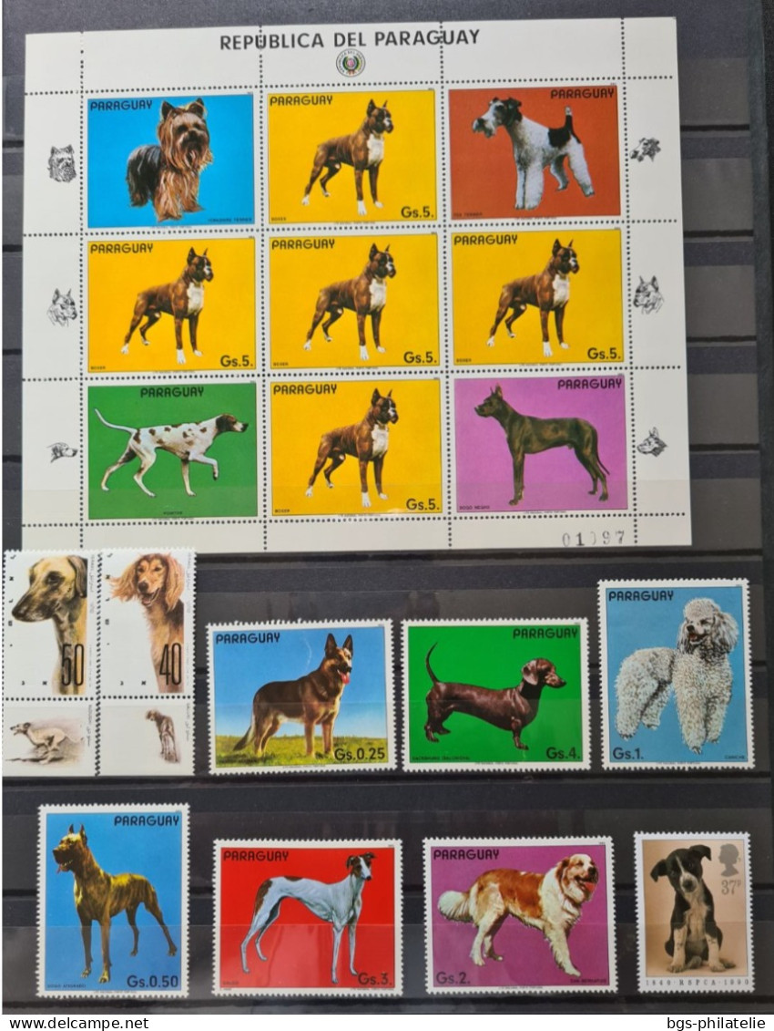 Collection de timbres sur le thème des Animaux.