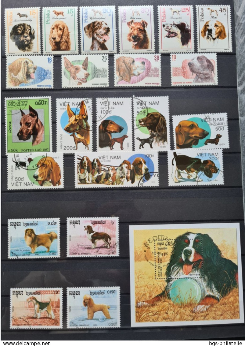 Collection de timbres sur le thème des Animaux.