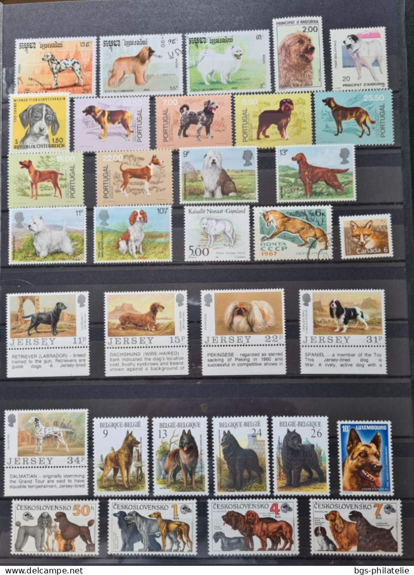 Collection de timbres sur le thème des Animaux.