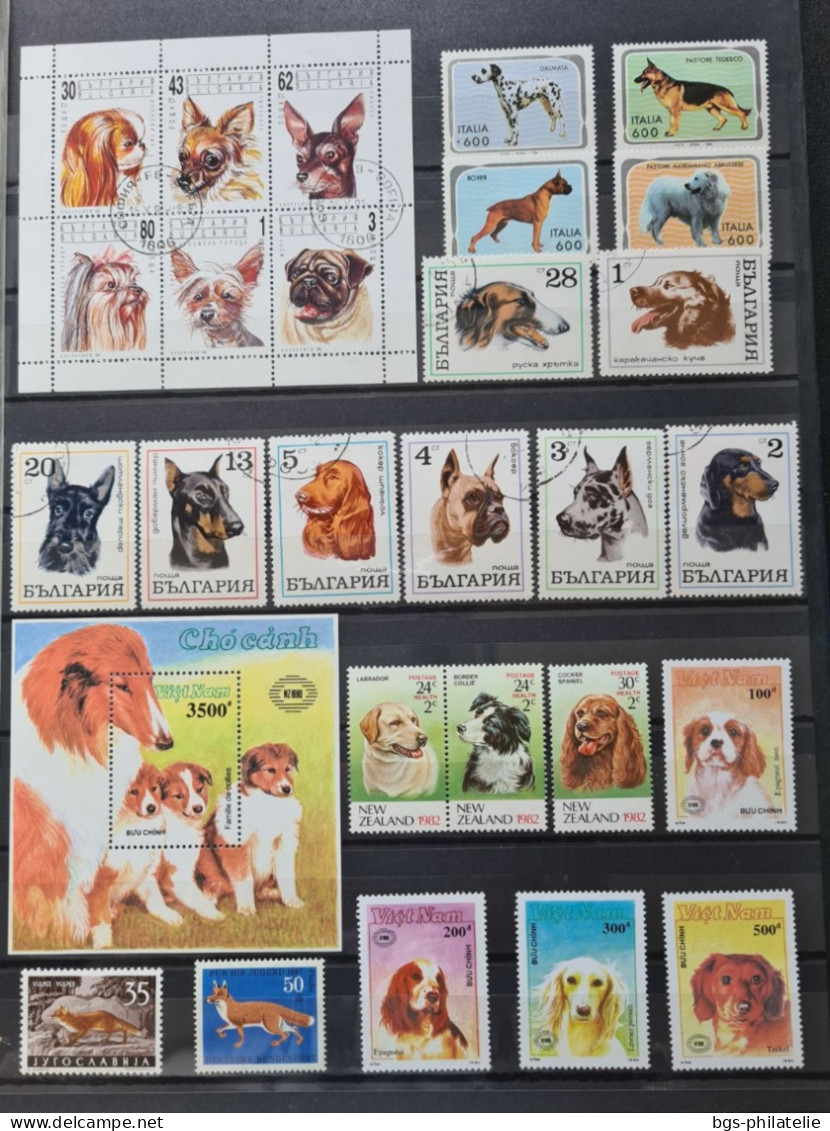 Collection de timbres sur le thème des Animaux.