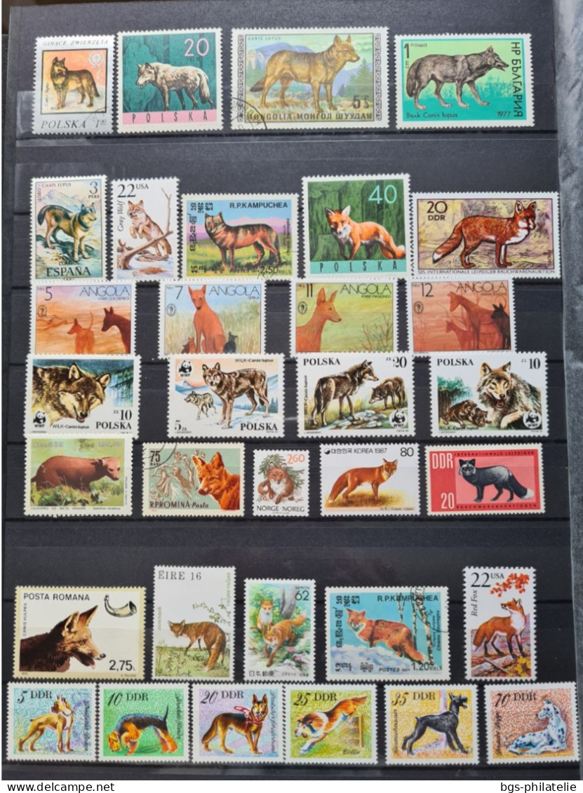 Collection de timbres sur le thème des Animaux.
