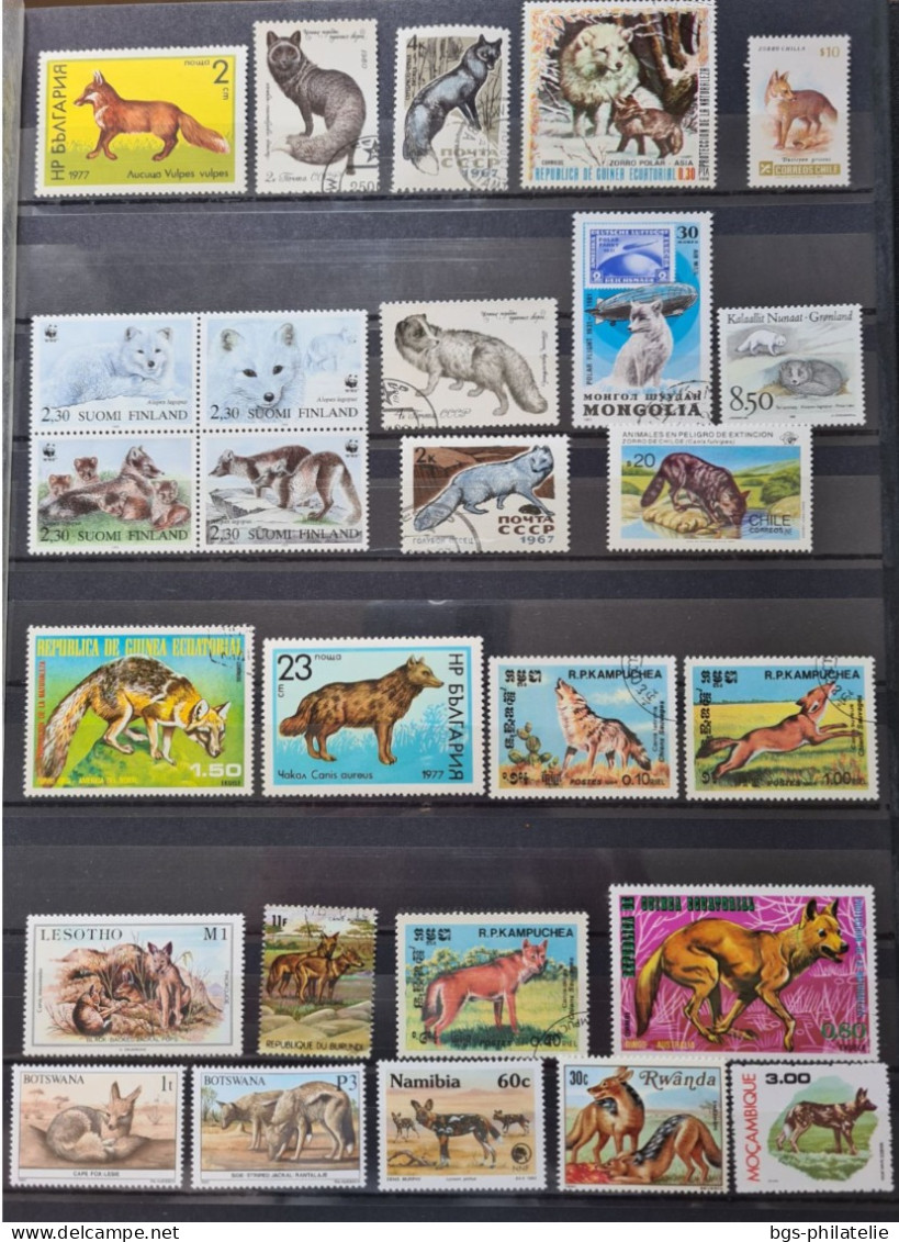 Collection de timbres sur le thème des Animaux.