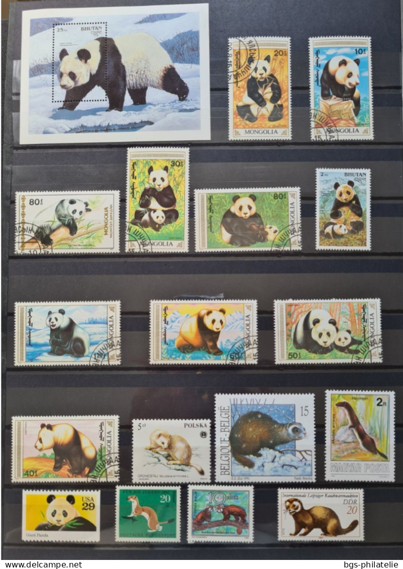 Collection de timbres sur le thème des Animaux.