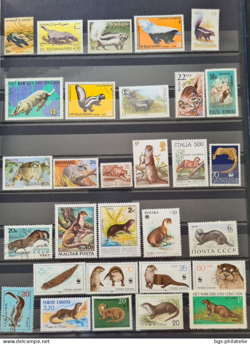 Collection de timbres sur le thème des Animaux.