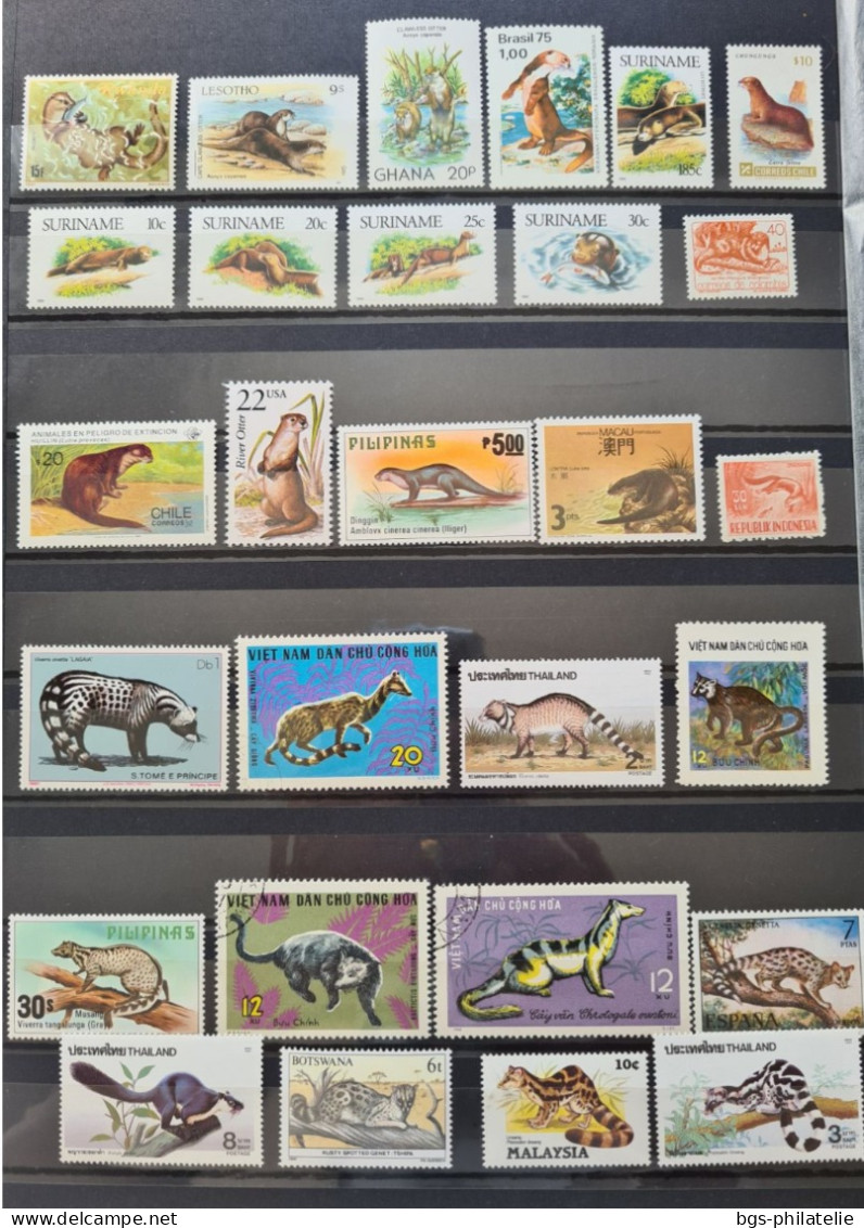 Collection de timbres sur le thème des Animaux.