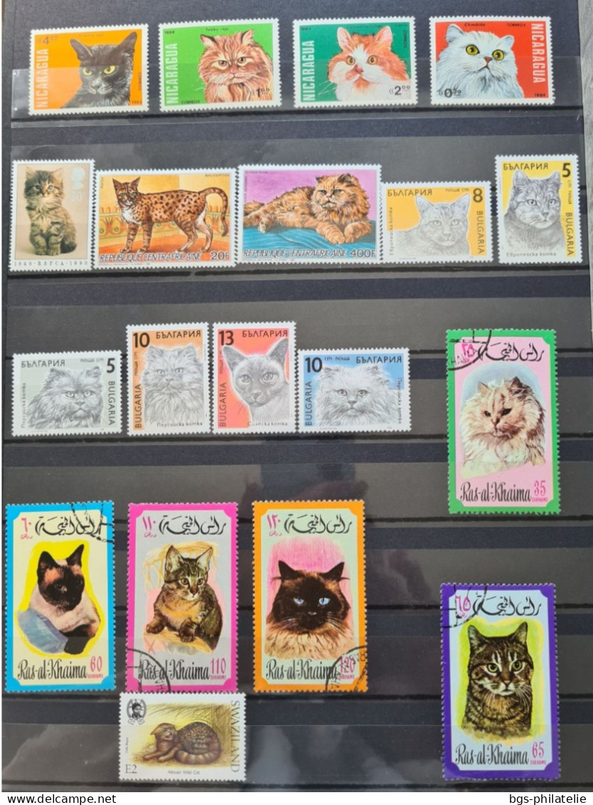 Collection de timbres sur le thème des Animaux.