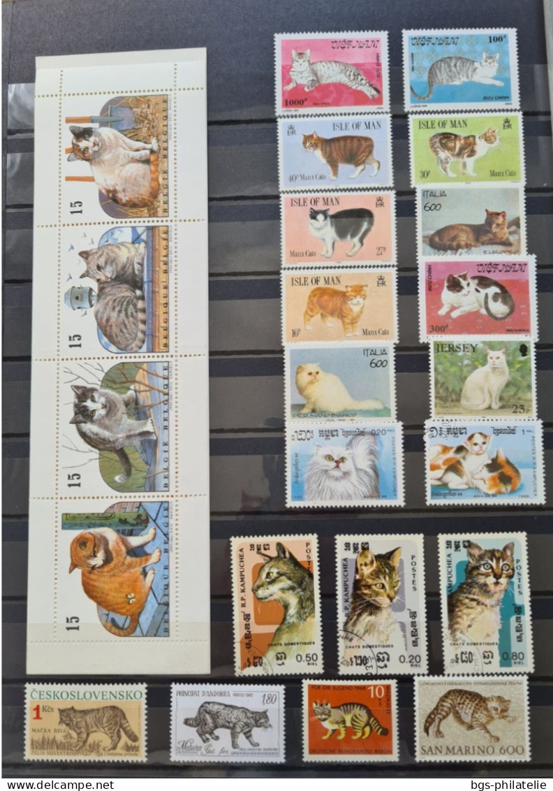 Collection de timbres sur le thème des Animaux.