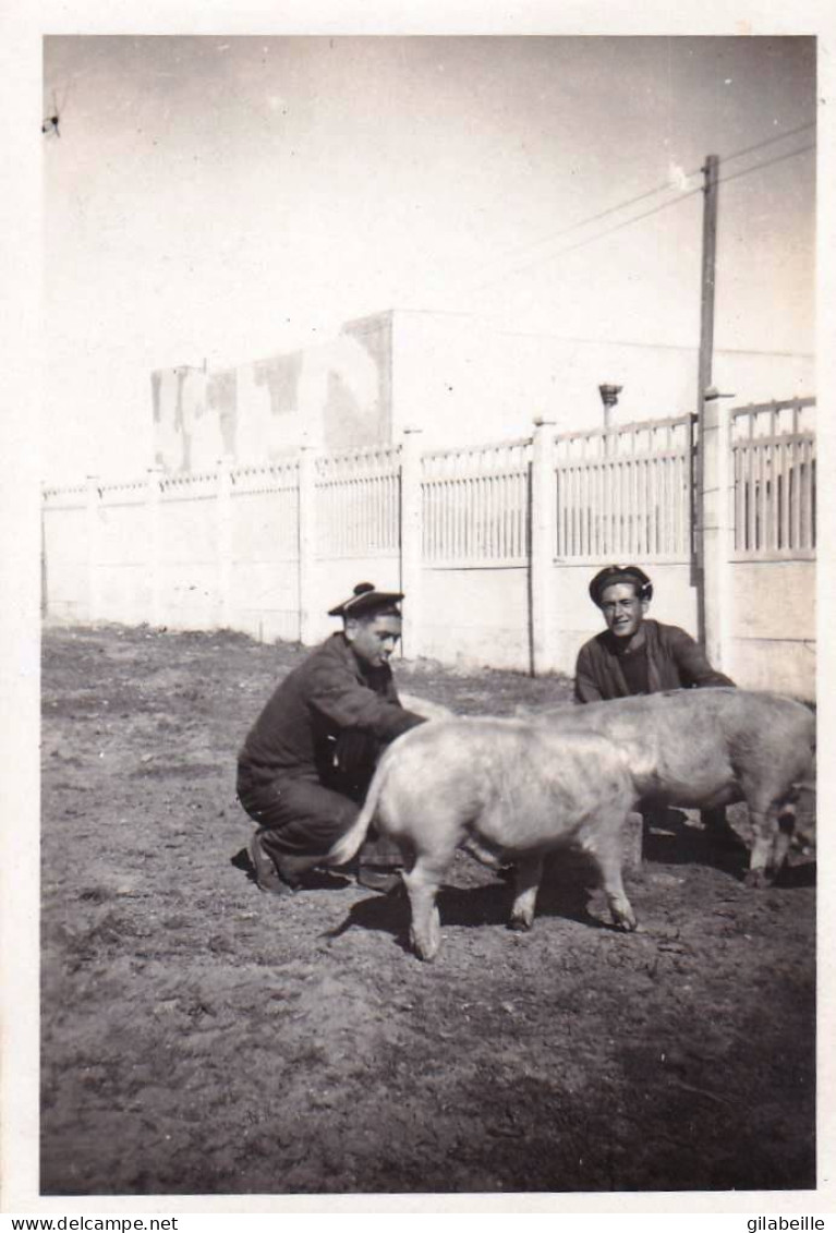 Photo Originale -militaria-guerre Maroc -1942- CASABLANCA -batterie El Hank - Le Parc Aux Cochons - Guerre, Militaire