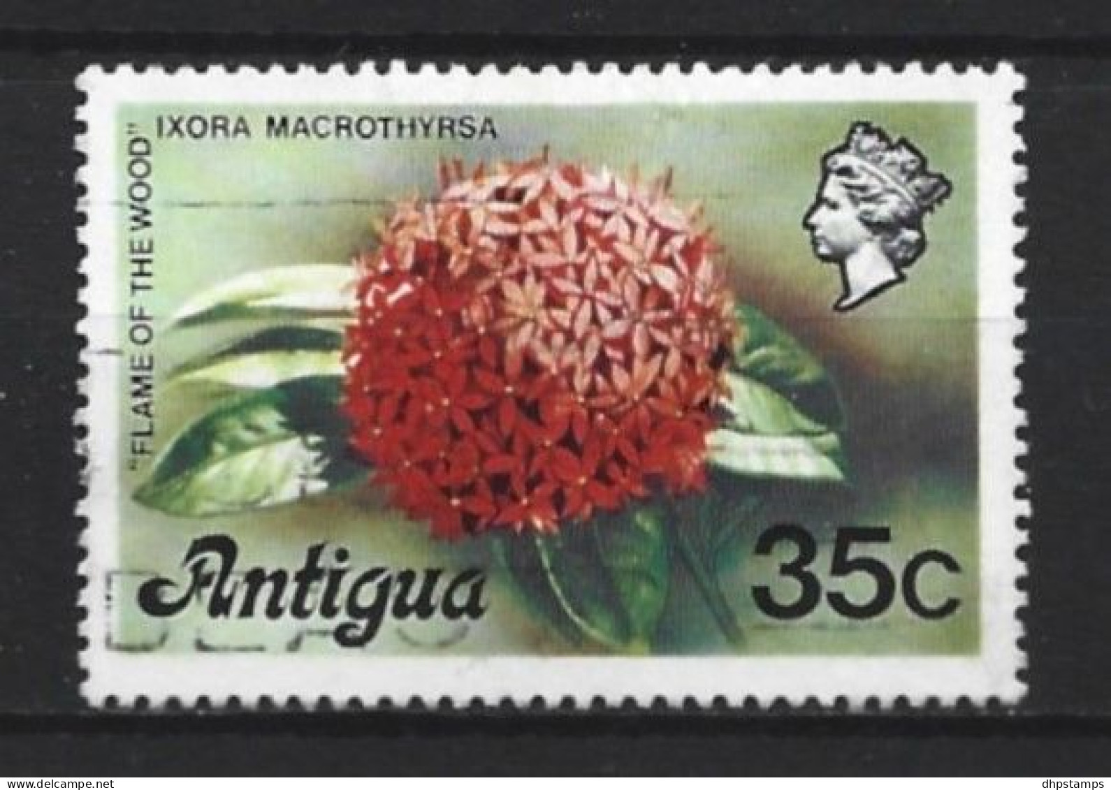 Antigua 1975 Flora Y.T.  408 (0) - Antigua Und Barbuda (1981-...)