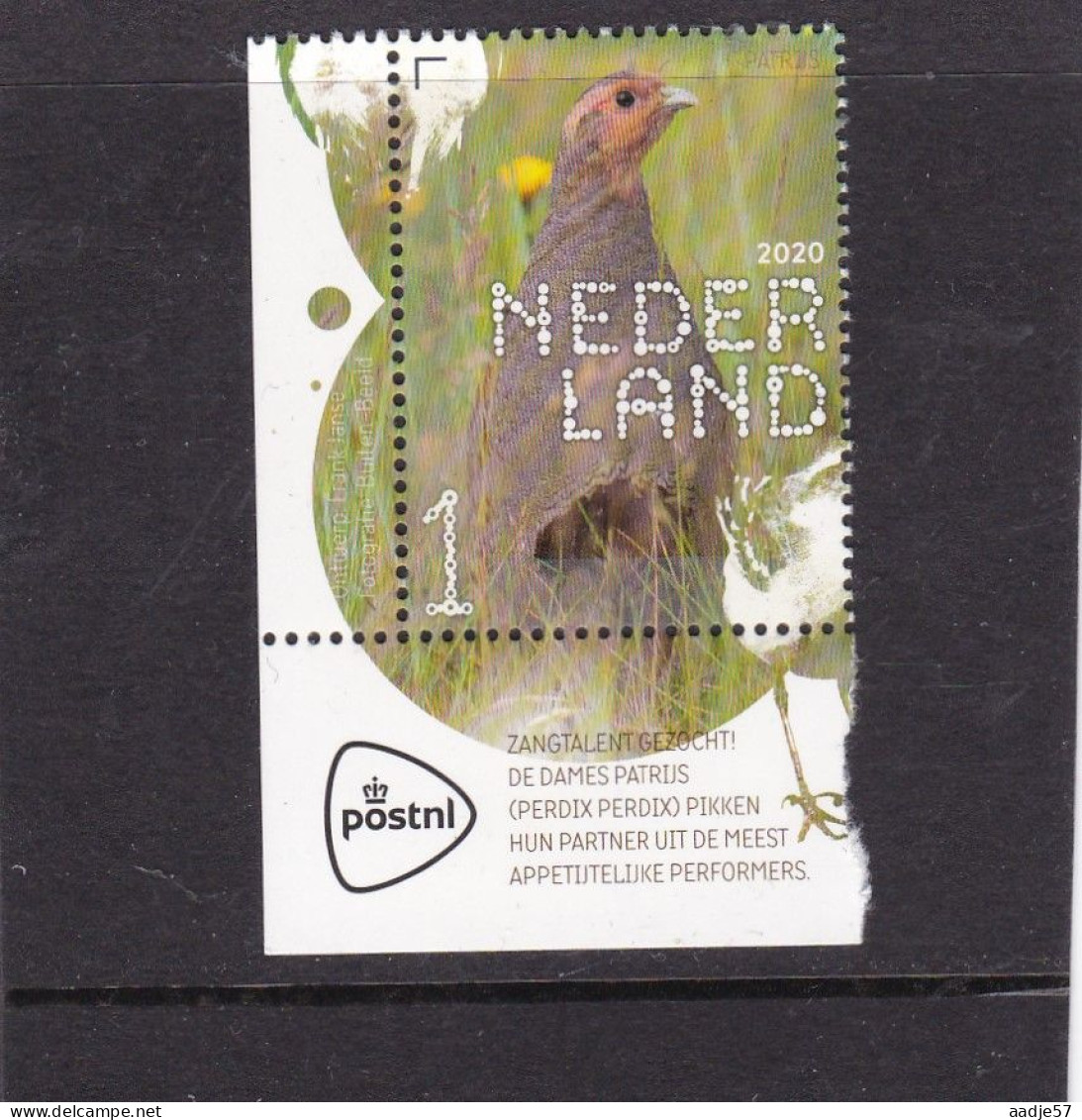 Netherlands Pays Bas 2020 Patrijs Partridge  MNH** - Nuevos