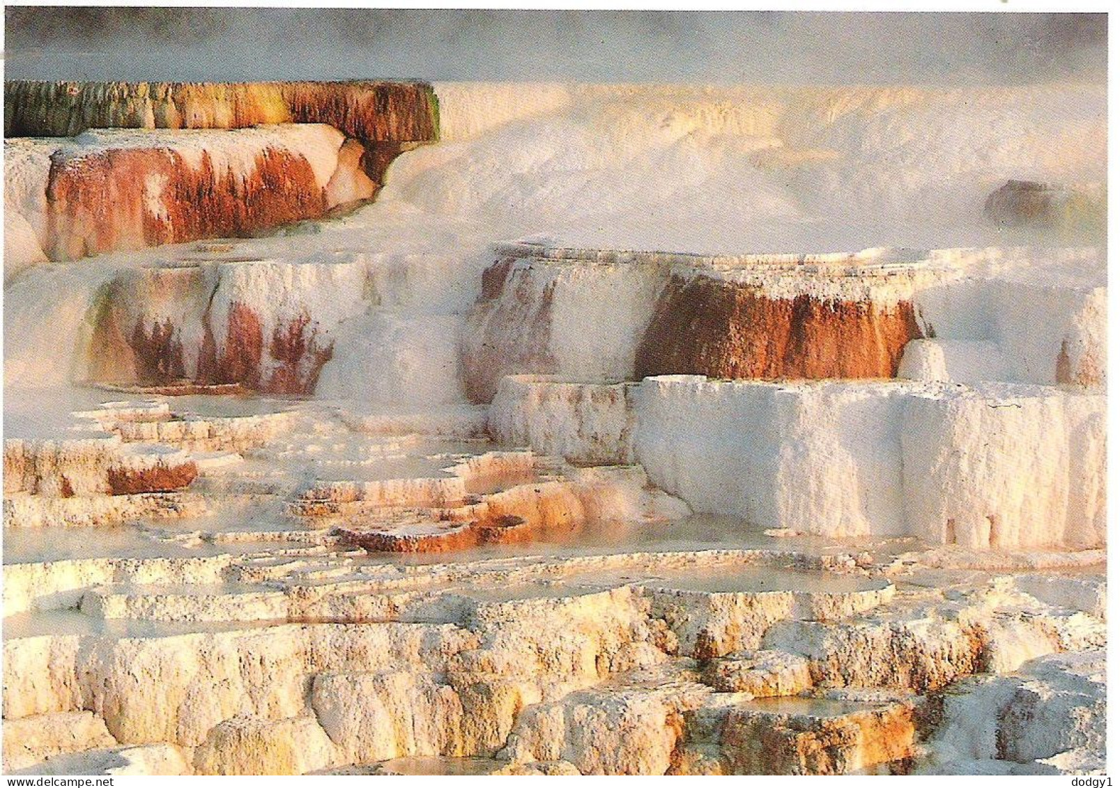 MINERVA TERRACE, YELLOWSTONE, WYOMING, UNITED STATES. UNUSED POSTCARD Mm3 - Yellowstone