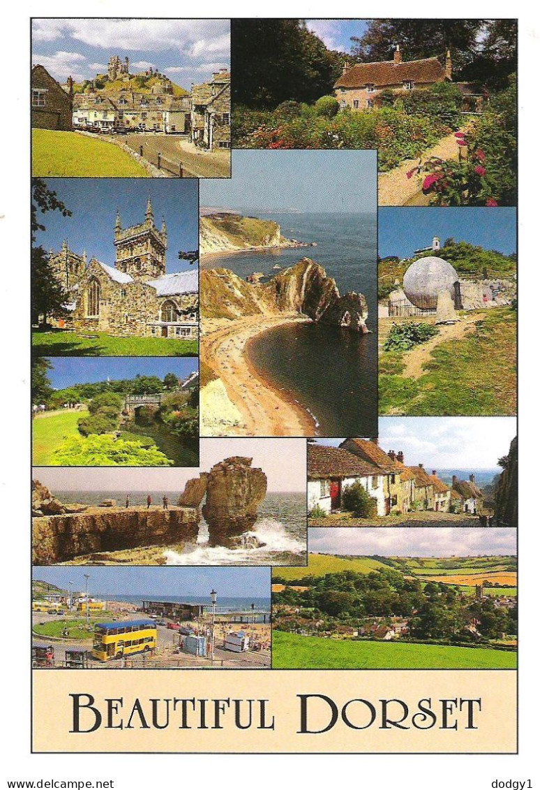 SCENES FROM DORSET, ENGLAND. UNUSED POSTCARD Mm3 - Other & Unclassified