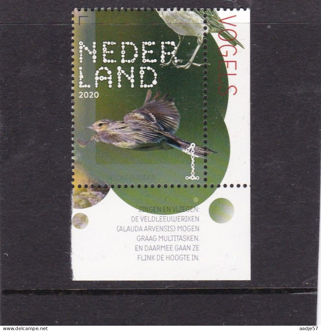 Netherlands Pays Bas 2020 Veldleeuwerik Skylark  MNH** - Nuevos