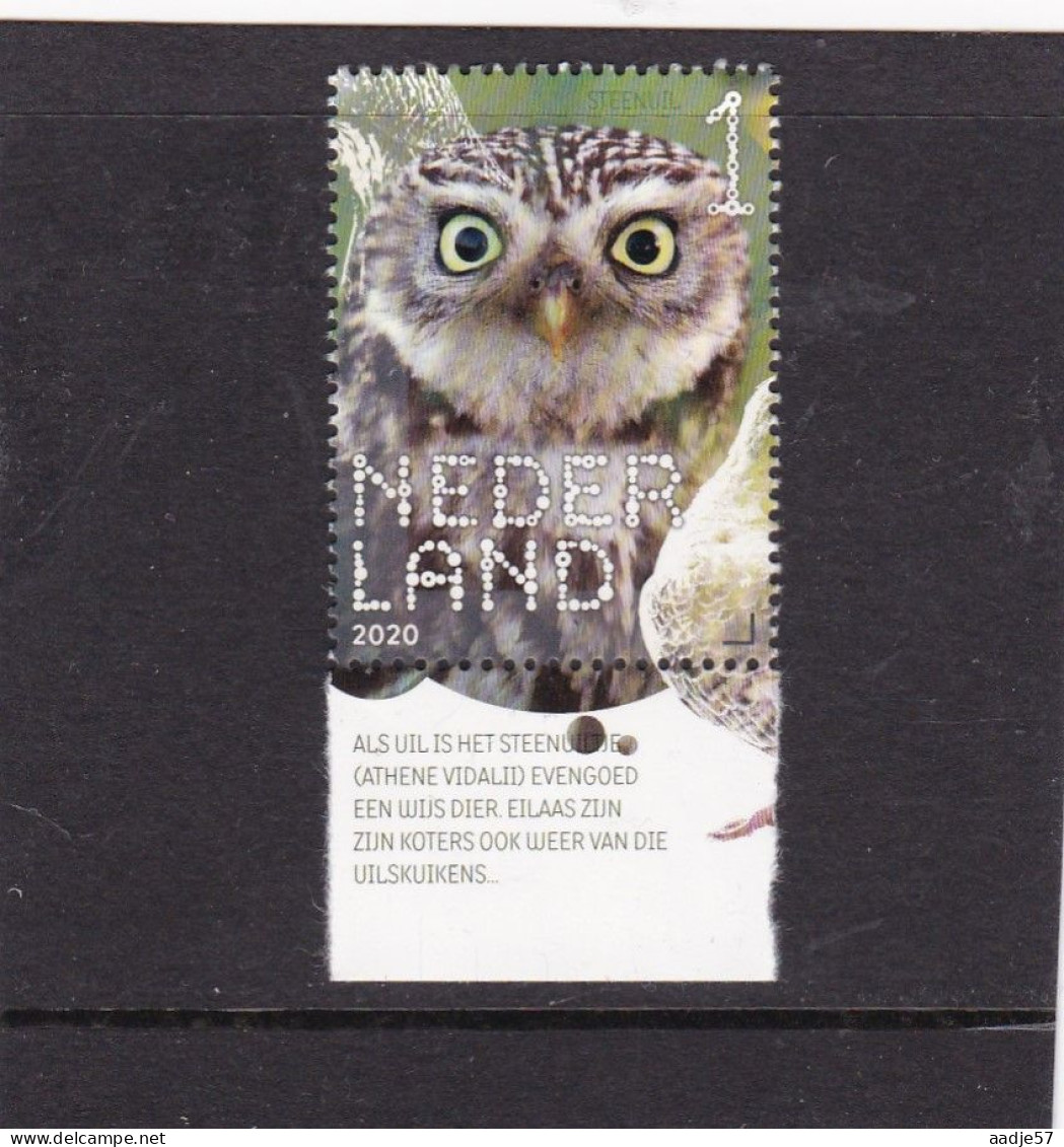 Netherlands Pays Bas 2020 Steenuil Little Owl   MNH** - Ungebraucht