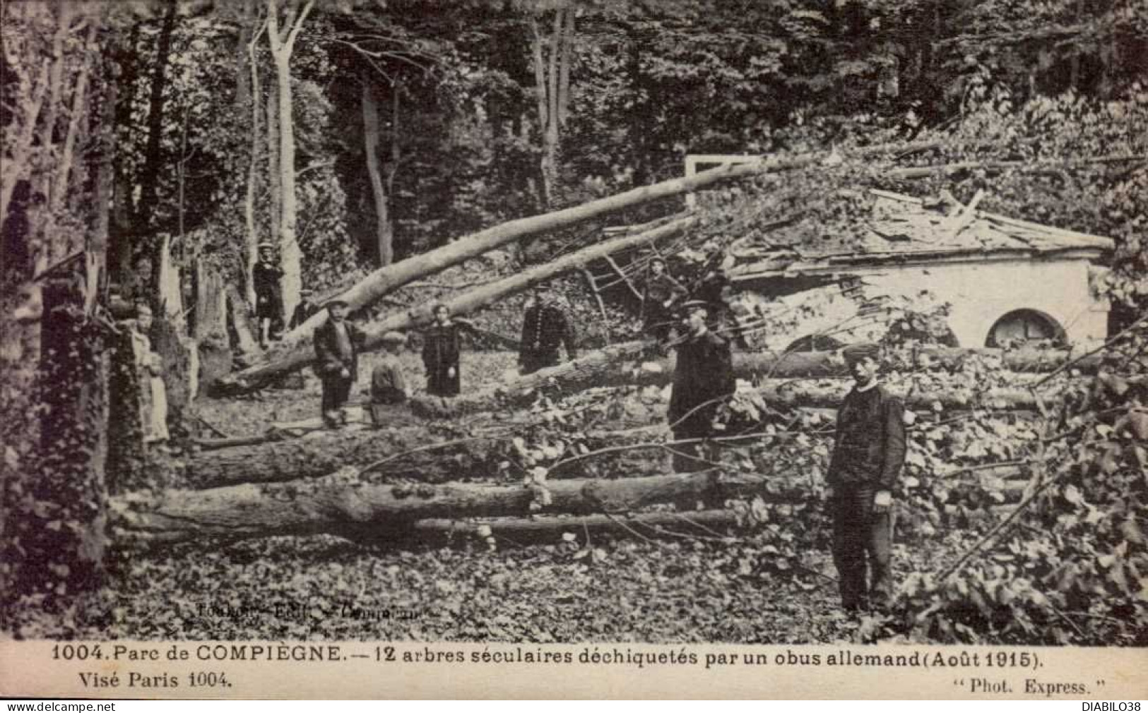 PARC DE COMPIEGNE    ( OISE )    12 ARBRES SECULAIRES DECHIQUETES PAR UN OBUS ALLEMAND ( AOUT 1915 ) - Sonstige & Ohne Zuordnung