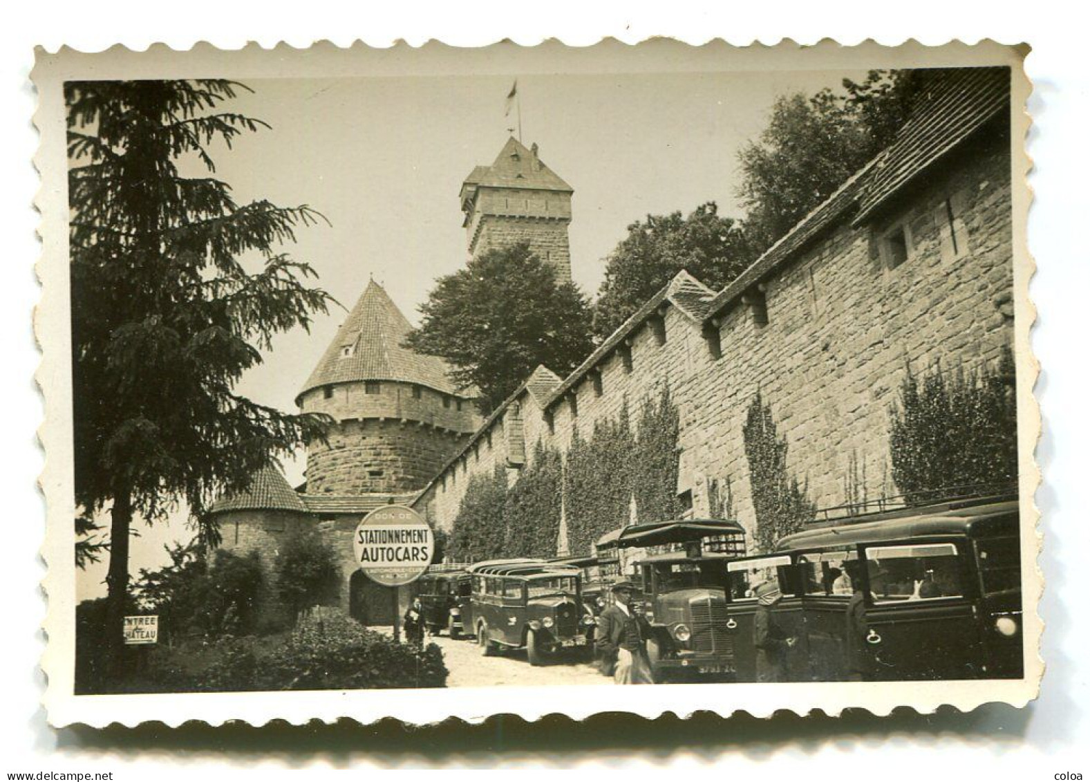 Photographie Privée Autocars Autobus Château Du Haut Koengisbourg Années 1920 - Automobiles