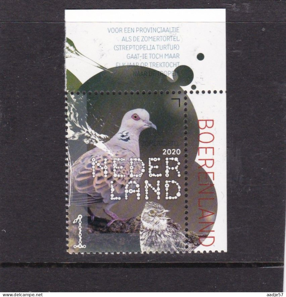 Netherlands Pays Bas 2020 Zomertortel Turtle Dove  MNH** - Neufs