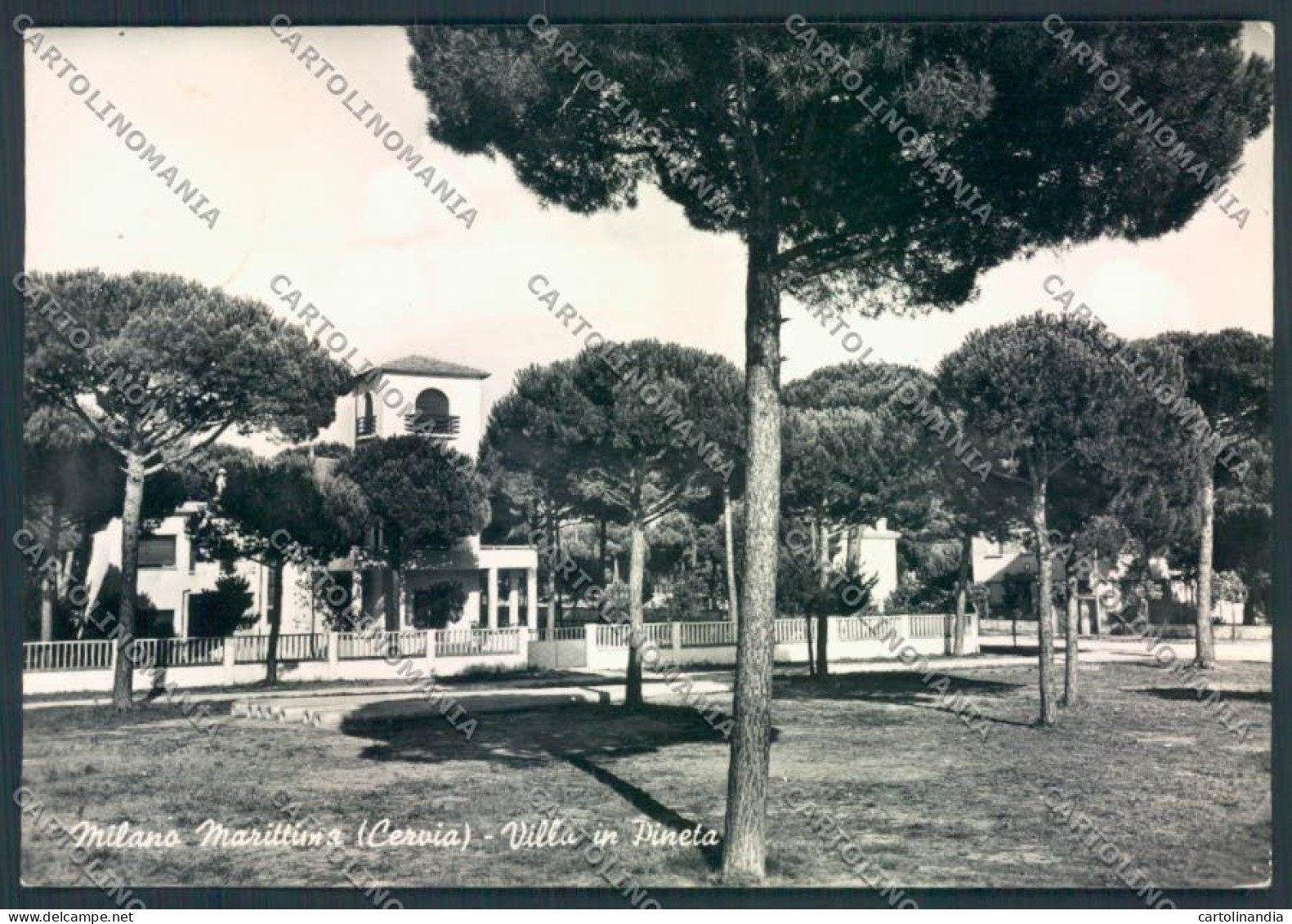 Ravenna Cervia Milano Marittima Foto FG Cartolina ZF4874 - Ravenna