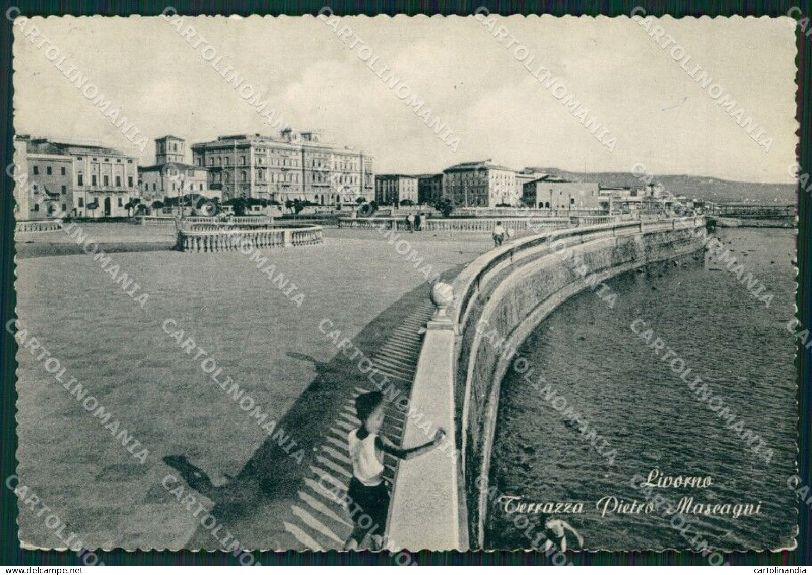 Livorno Città Foto FG Cartolina ZK2912 - Livorno