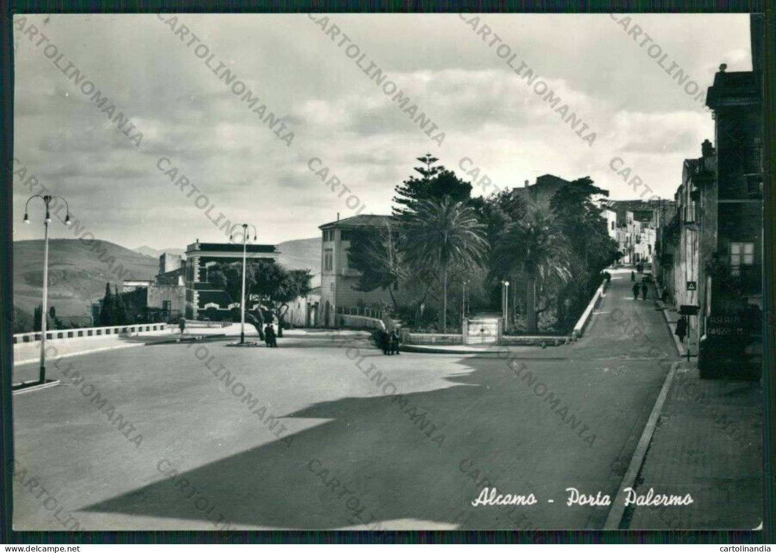 Trapani Alcamo Foto FG Cartolina ZK1998 - Trapani