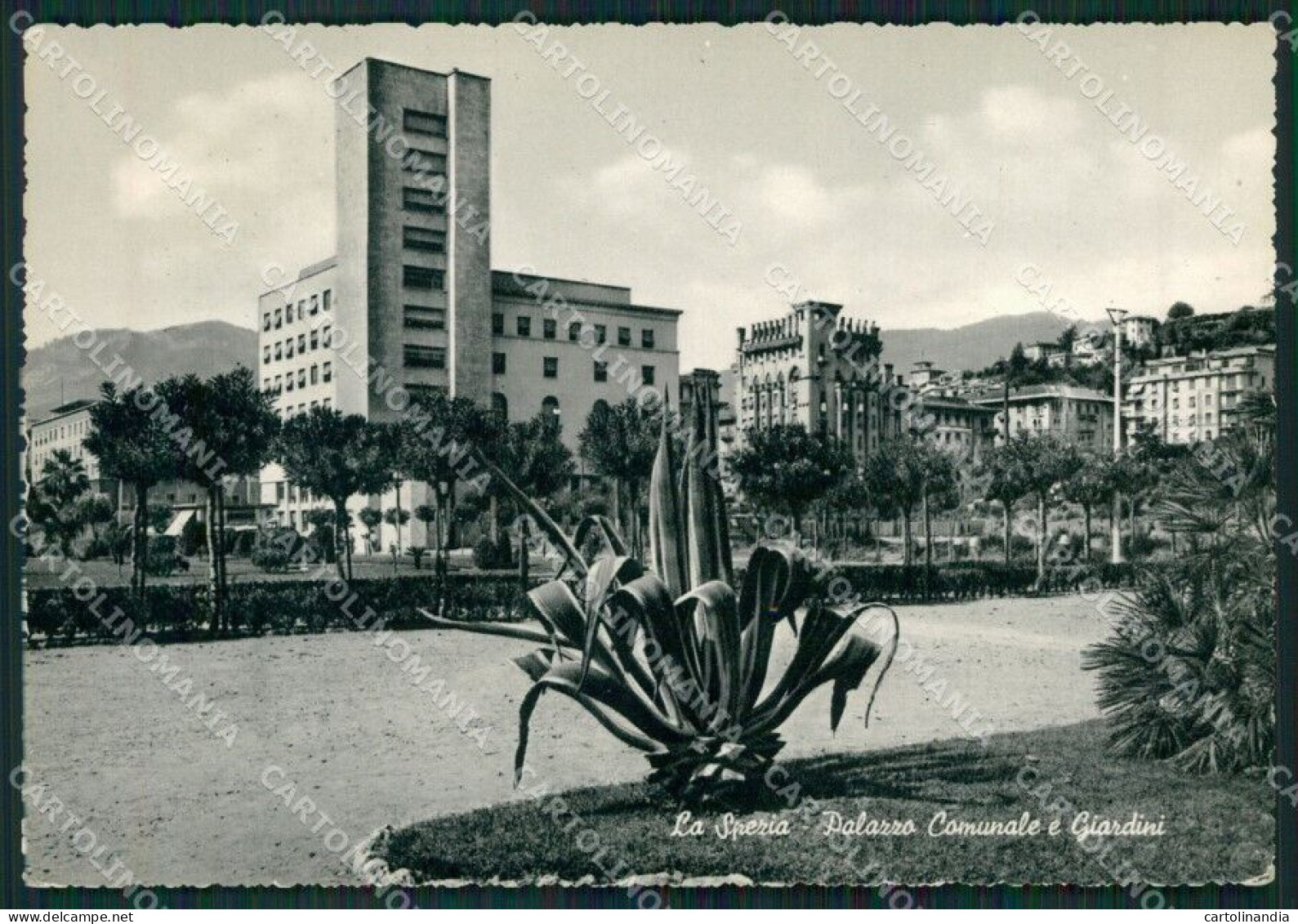 La Spezia Città Foto FG Cartolina ZK6338 - La Spezia