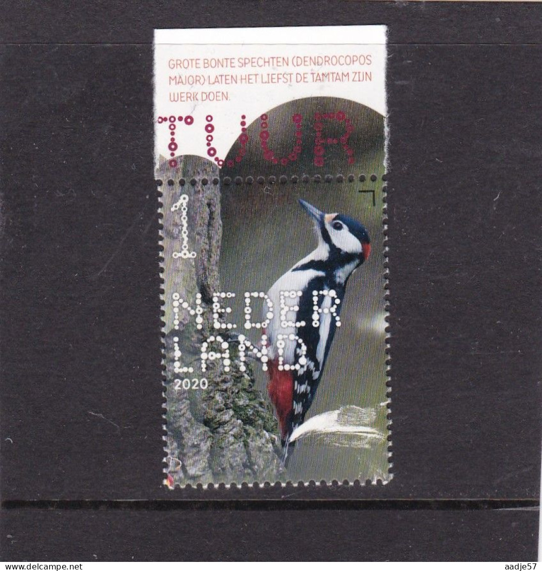 Netherlands Pays Bas 2020 Grote Bonte Specht  Great Spotted Woodpecker MNH** - Nuevos