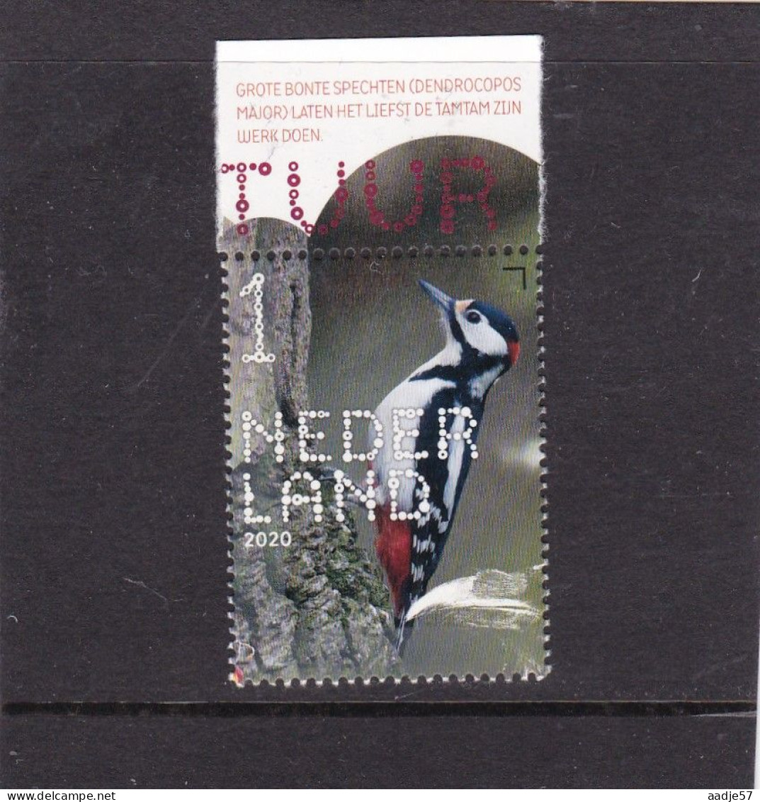 Netherlands Pays Bas 2020 Grote Bonte Specht  Great Spotted Woodpecker MNH** - Ongebruikt