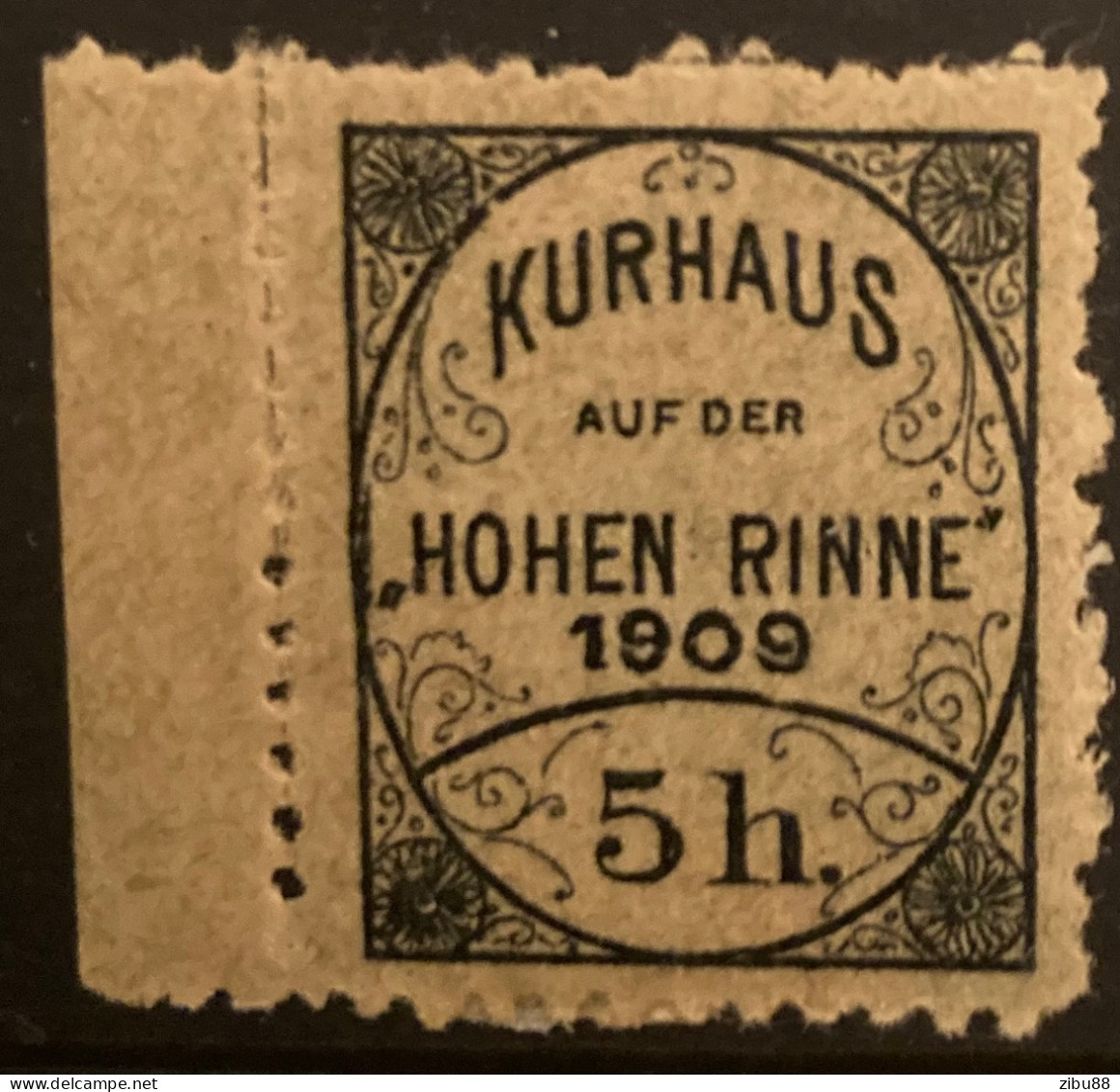 Hotelpost-Marke Kurhaus Auf Der Hohen Rinne 1909 - 5 H. Rumänien / Revenue Romania - Fiscali