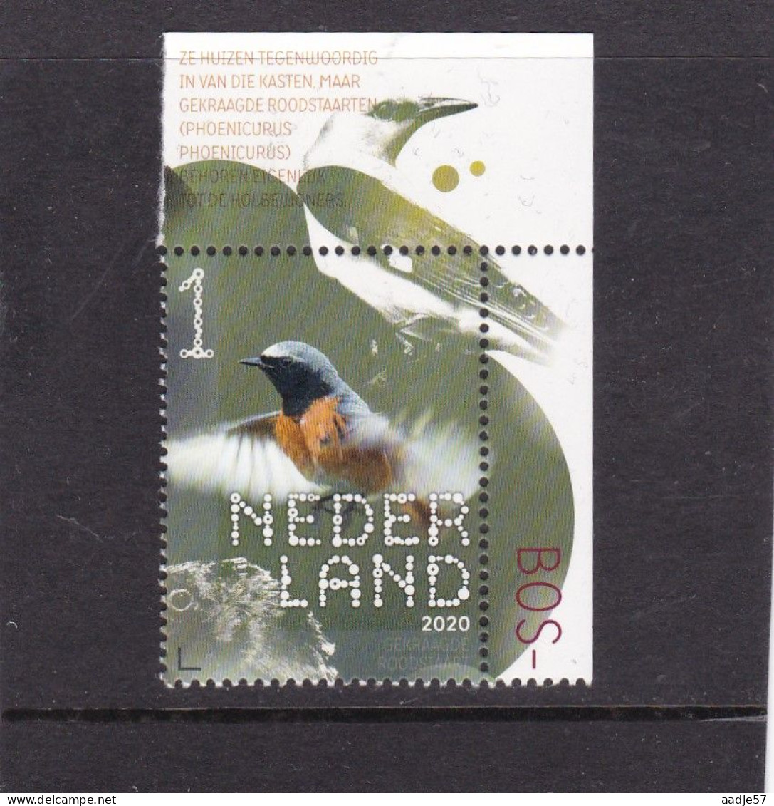 Netherlands Pays Bas 2020 Gekraagde Roodstaart Collared Redstart MNH** - Nuevos