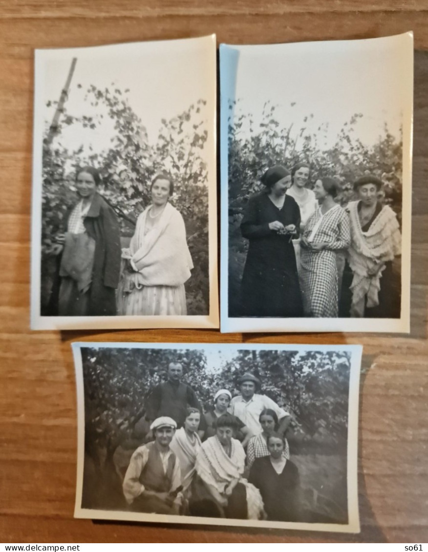 19239.  Tre Fotografie Vintage Uomo Donne Eleganti Vendemmia Vigna Vino Aa '30 Italia - 8,5x5,5 - Personnes Anonymes