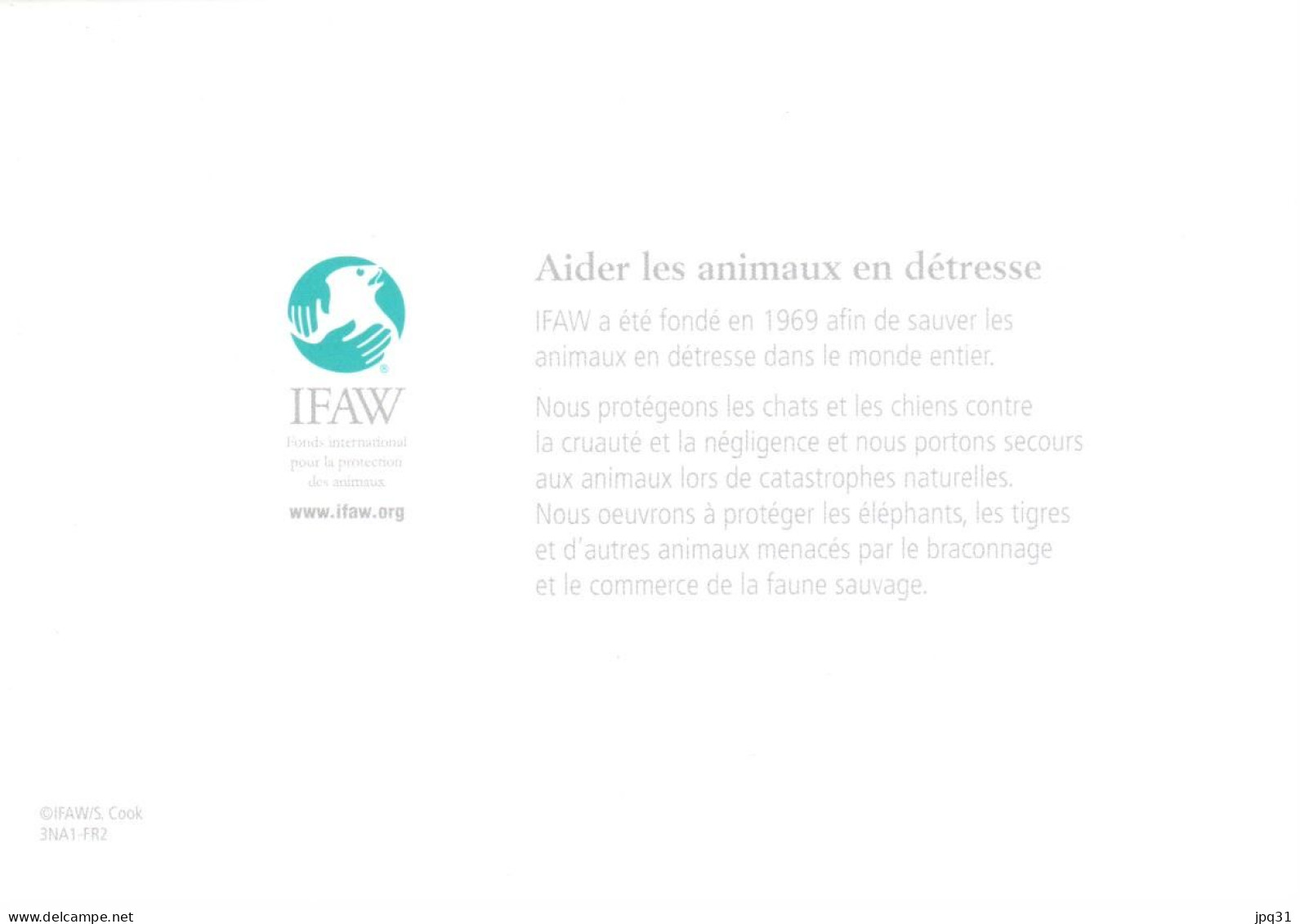 Carte Double IFAW Aider Les Animaux En Détresse - Bébé Phoque - Ref 3NA1-FR2 - Autres & Non Classés