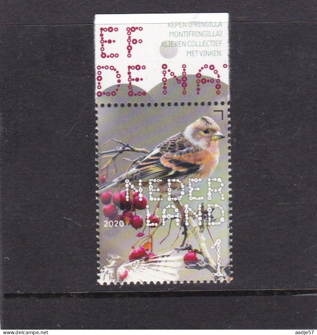 Netherlands Pays Bas 2020 Vink Finch MNH** - Ungebraucht