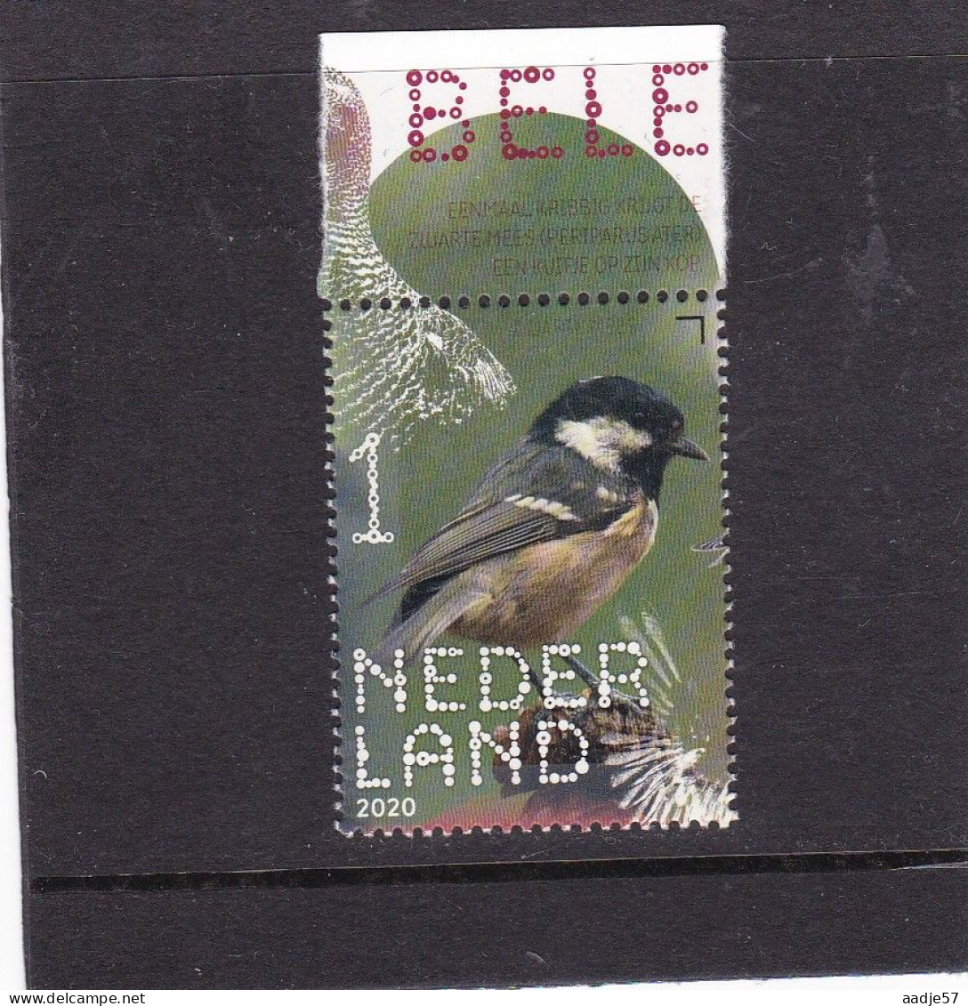 Netherlands Pays Bas 2020 Zwarte Mees Titmouse  MNH** - Unused Stamps