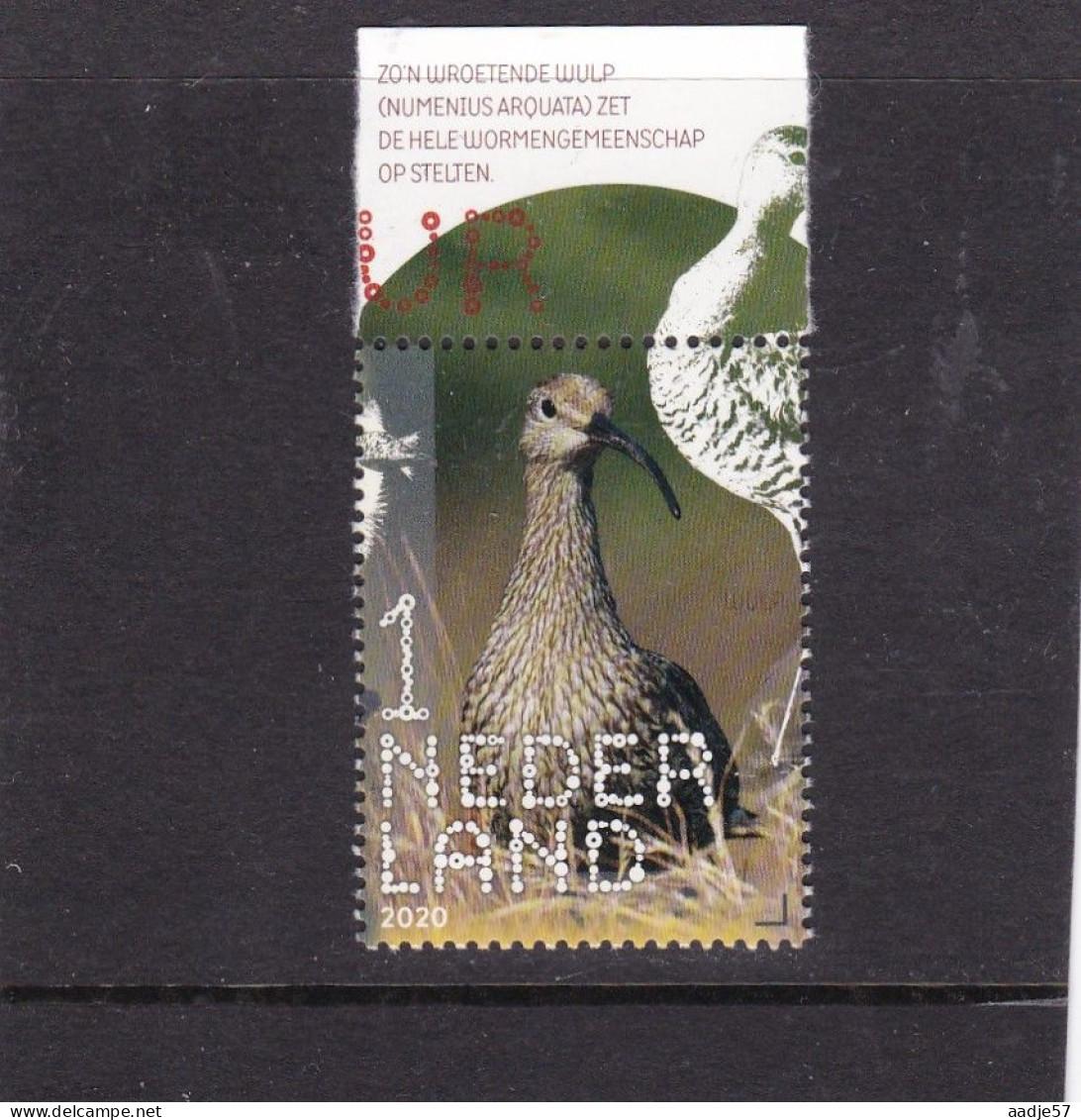 Netherlands Pays Bas 2020 Wulp  Curlew MNH** - Unused Stamps