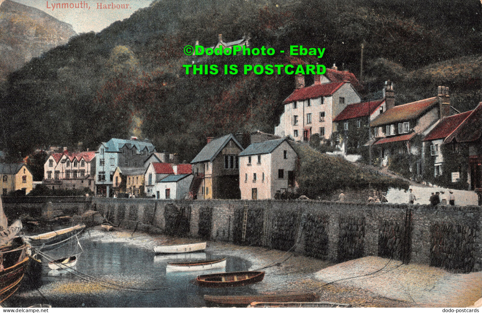R436027 Lynmouth. Harbour. No. 875. 1905 - Welt