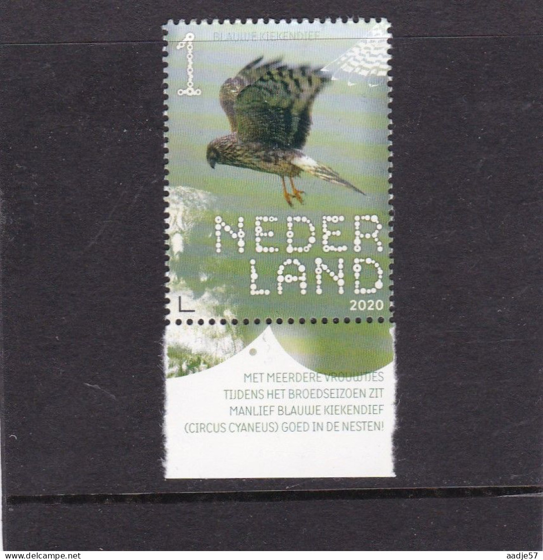 Netherlands Pays Bas 2020 Blauwe Kiekendief Hen Harrier MNH** - Unused Stamps