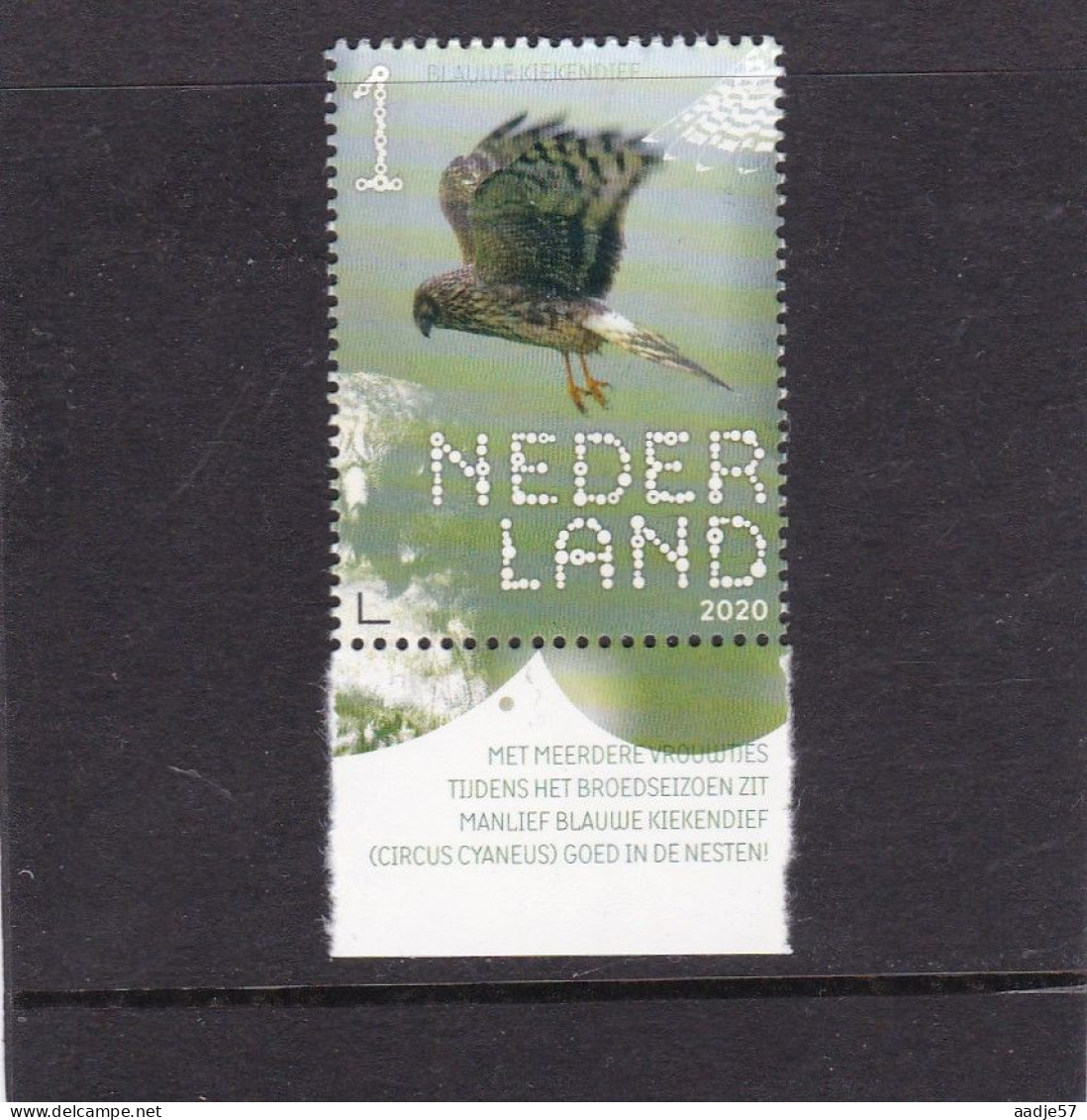 Netherlands Pays Bas 2020 Blauwe Kiekendief Hen Harrier MNH** - Neufs