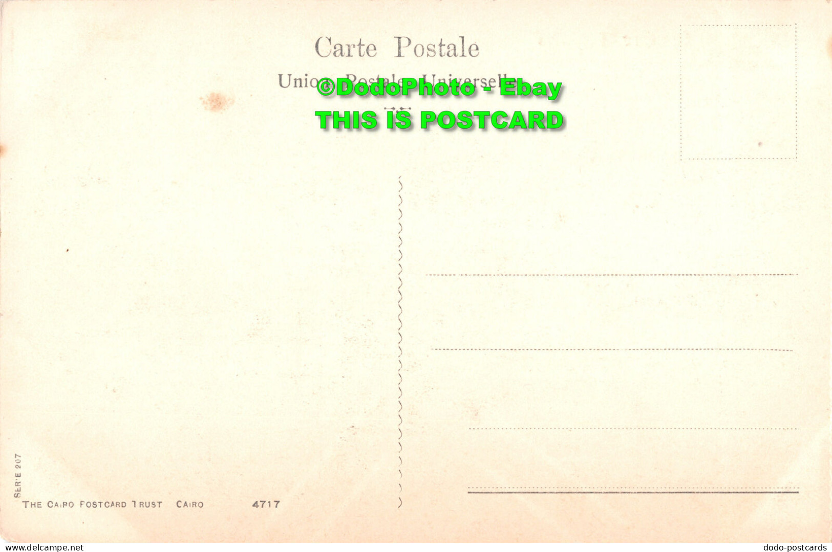 R436048 Le Caire. Palmiers. The Cairo Postcard Trust. Serie 207 - Welt