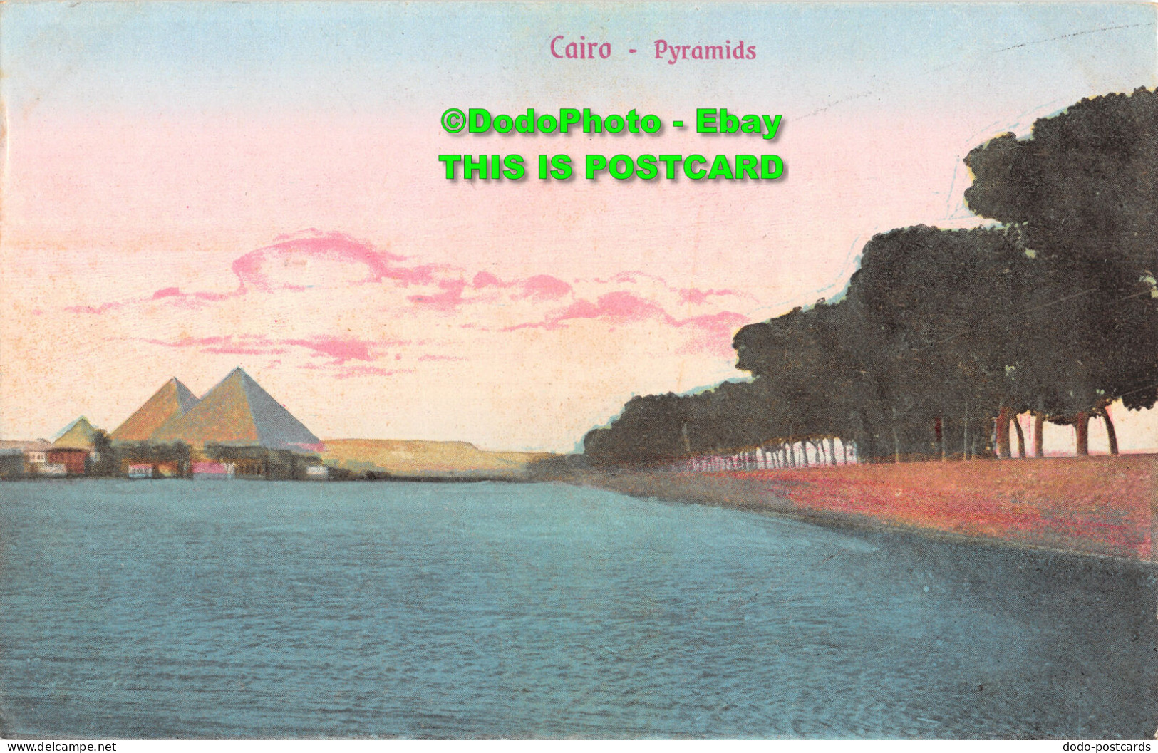 R436060 Cairo. Pyramids. The Cairo Postcard Trust. Serie 581 - Welt