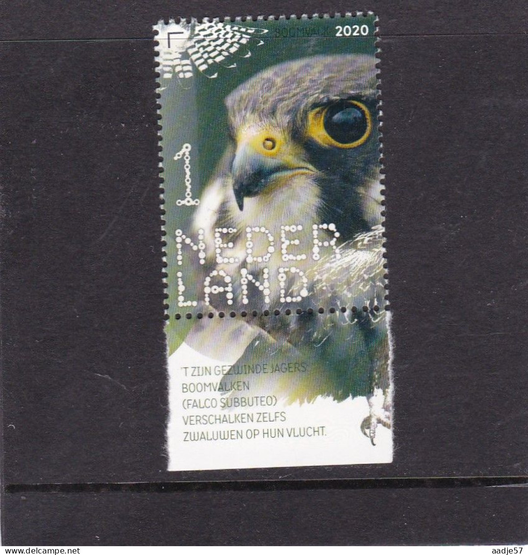 Netherlands Pays Bas 2020 Boomvalk Falcon MNH** - Unused Stamps