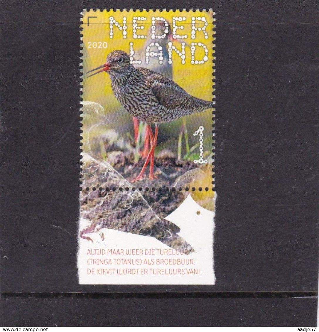 Netherlands Pays Bas 2020 Tureluur Common Redshank MNH** - Neufs