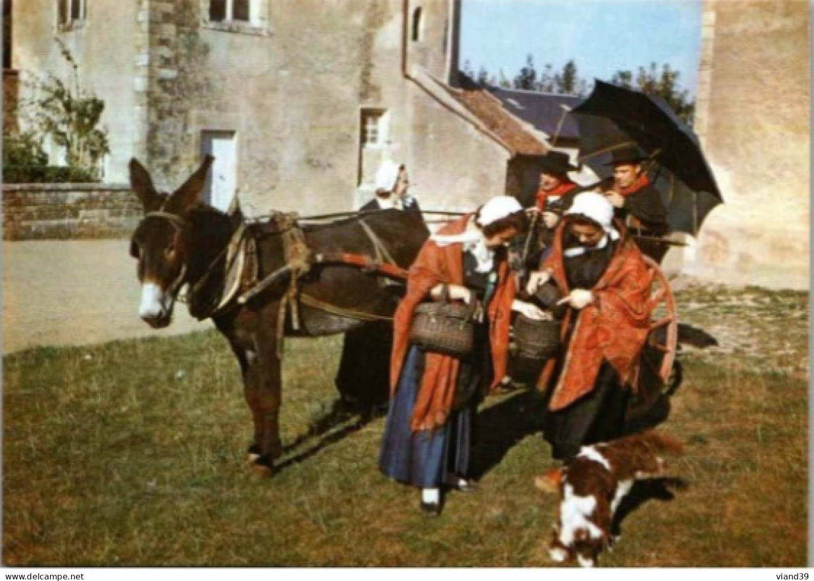 MORVAN. -  Retour De La Foire. Dans Le Nivernais Morvan. - Personnages