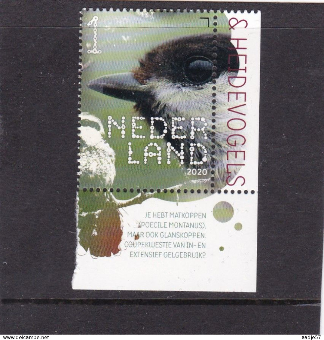 Netherlands Pays Bas 2020 Mat Head Mat Head  MNH** - Unused Stamps