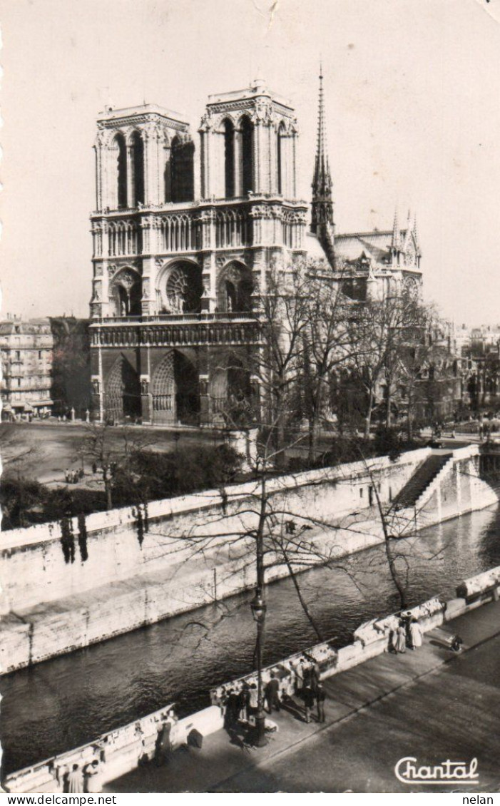 PARIS - NOTRE DAME - F.P. - Notre Dame De Paris