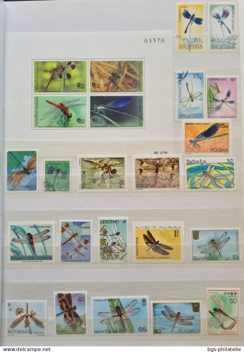 Collection De Timbres Sur Le Thème Des Insectes. - Collezioni (senza Album)