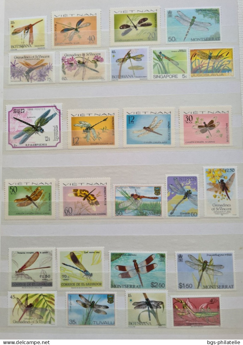 Collection De Timbres Sur Le Thème Des Insectes. - Collections (without Album)