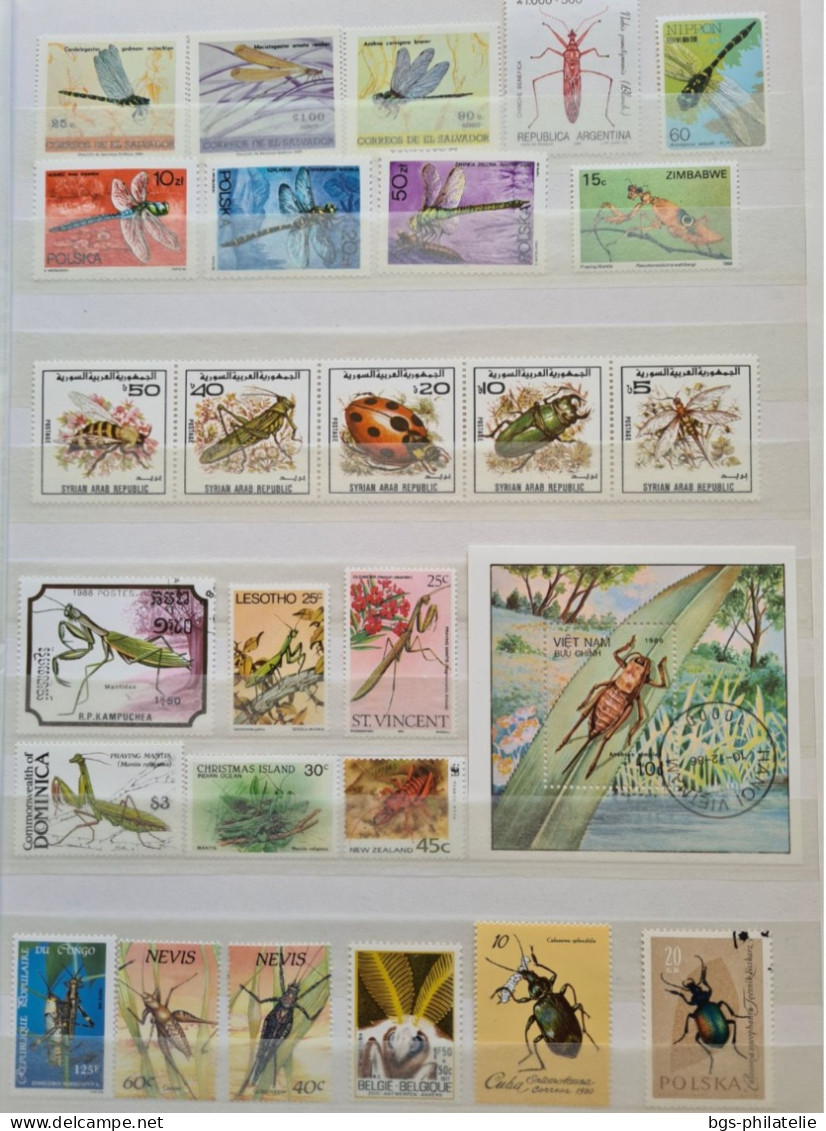 Collection De Timbres Sur Le Thème Des Insectes. - Collezioni (senza Album)