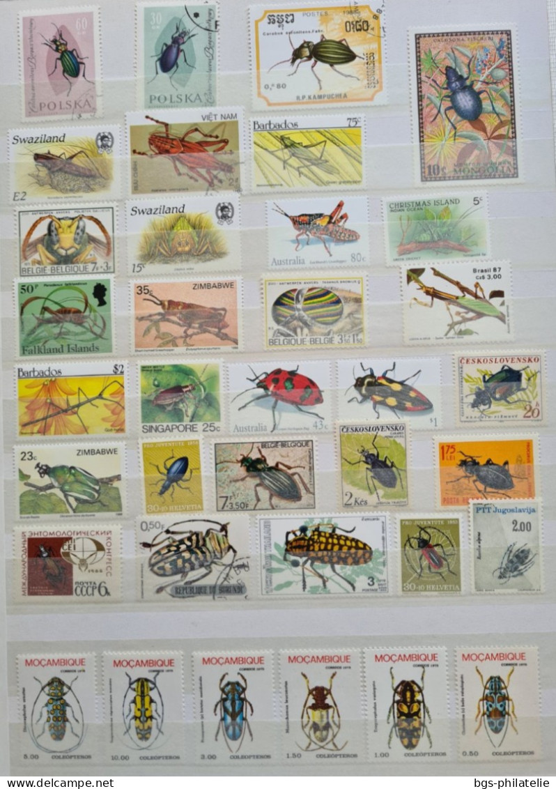 Collection De Timbres Sur Le Thème Des Insectes. - Collezioni (senza Album)