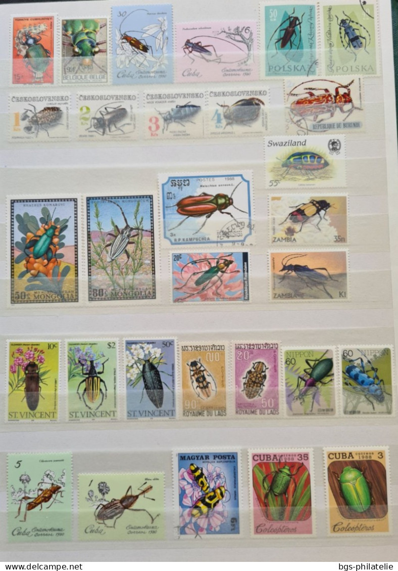 Collection De Timbres Sur Le Thème Des Insectes. - Sammlungen (ohne Album)