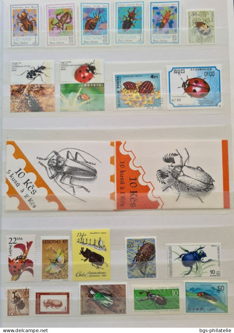 Collection de timbres sur le thème des Insectes.